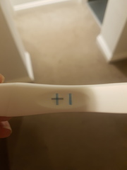 Due November 2019