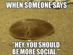 Grown adults getting upset over Facebook isn't normal.