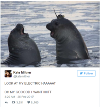 Please share your funny memes or pictures.