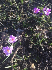 Any Witches Here? Part 6