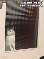 Please share your funny memes or pictures.