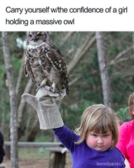 Please share your funny memes or pictures.