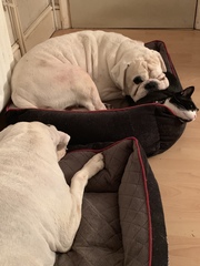 I just walked in on a threesome!