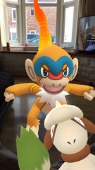 So Treecko, he’s gotta be so Treecko! Pokemon Go #23