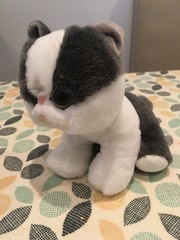 Straw poll - is this a dog or a cat?