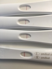 9dpo faint line on First Response Rapid Results