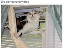 Please share your funny memes or pictures.