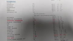 Thank you to those who helped previously. Anyone fancy a gander at some blood results?