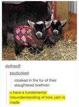 Please share your funny memes or pictures.