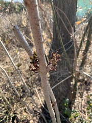 Any idea what this? And what to do with it?