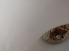 Bathroom light fitting