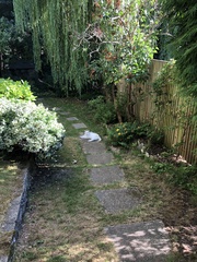 Can I make a path like this?
