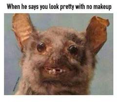 Please share your funny memes or pictures.