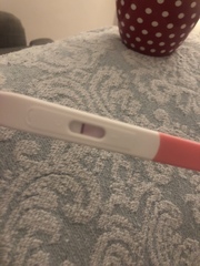 Fertile Feb!