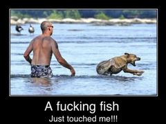 Please share your funny memes or pictures.