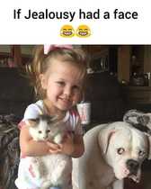 Please share your funny memes or pictures.