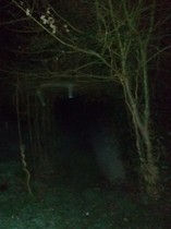 I can offer you solutions to all your problems