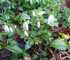 Any Witches Here? Part 6