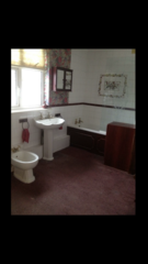 Carpet in bathrooms?!?!?