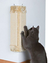 How can I stop the cats scratching up the carpets.