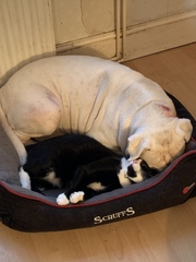 I just walked in on a threesome!