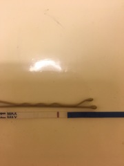 10DPO - BFN this morning, maybe a line this evening🤔