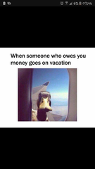 Please share your funny memes or pictures.