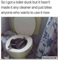 Please share your funny memes or pictures.