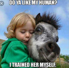 Please share your funny memes or pictures.