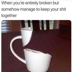 Please share your funny memes or pictures.