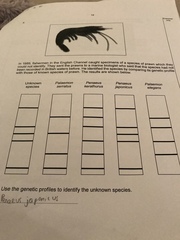 GCSE Biology help please!
