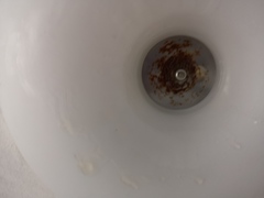 Bathroom light fitting