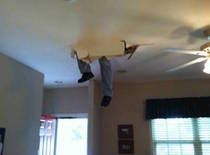 Please share your funny memes or pictures.