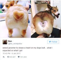 Please share your funny memes or pictures.