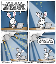 Please share your funny memes or pictures.