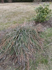 Any idea what this? And what to do with it?