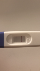 TTC FIRST BABY - Thread 12! [edited by MNHQ at OP's request]