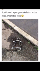 Please share your funny memes or pictures.