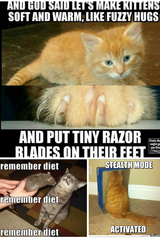 Please share your funny memes or pictures.