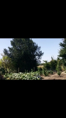 29th March "Grow your own" newcomers welcome here