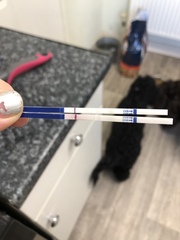 Faint pregnancy tests