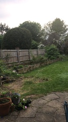 Advice on my garden please