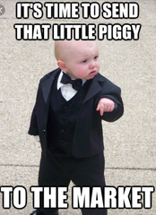 Please share your funny memes or pictures.