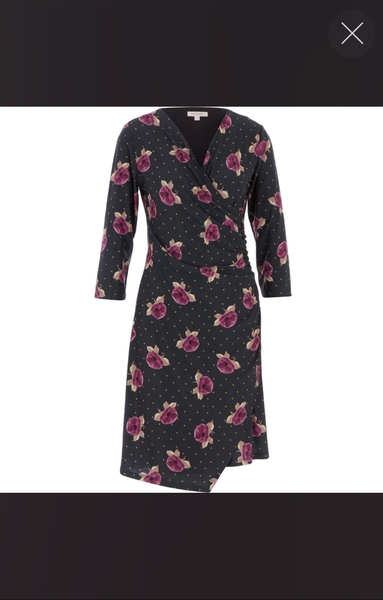 What colour Pashmina to go with my dress?