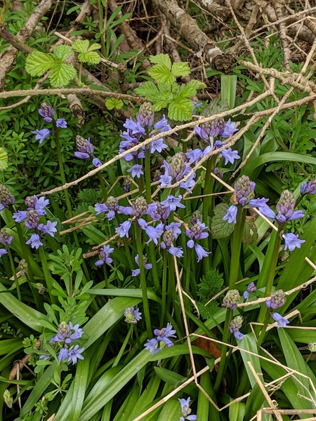 I couldn’t believe my eyes today - beauty in nature