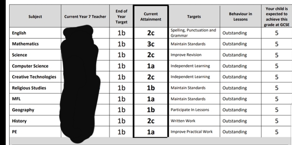 Help with year 7 results