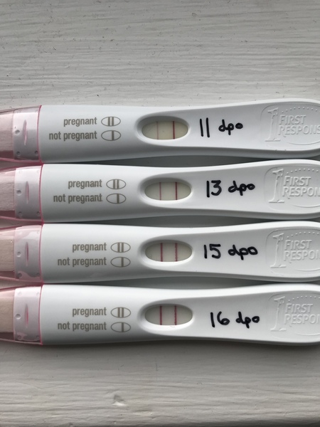 Due November 2019
