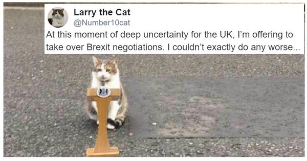 Westminstenders: Neglectful Drunkeness!