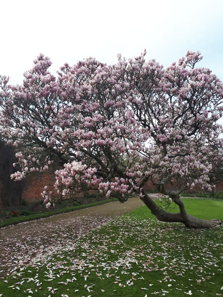 I couldn’t believe my eyes today - beauty in nature