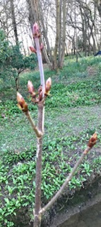 Help! Can you identify this please?